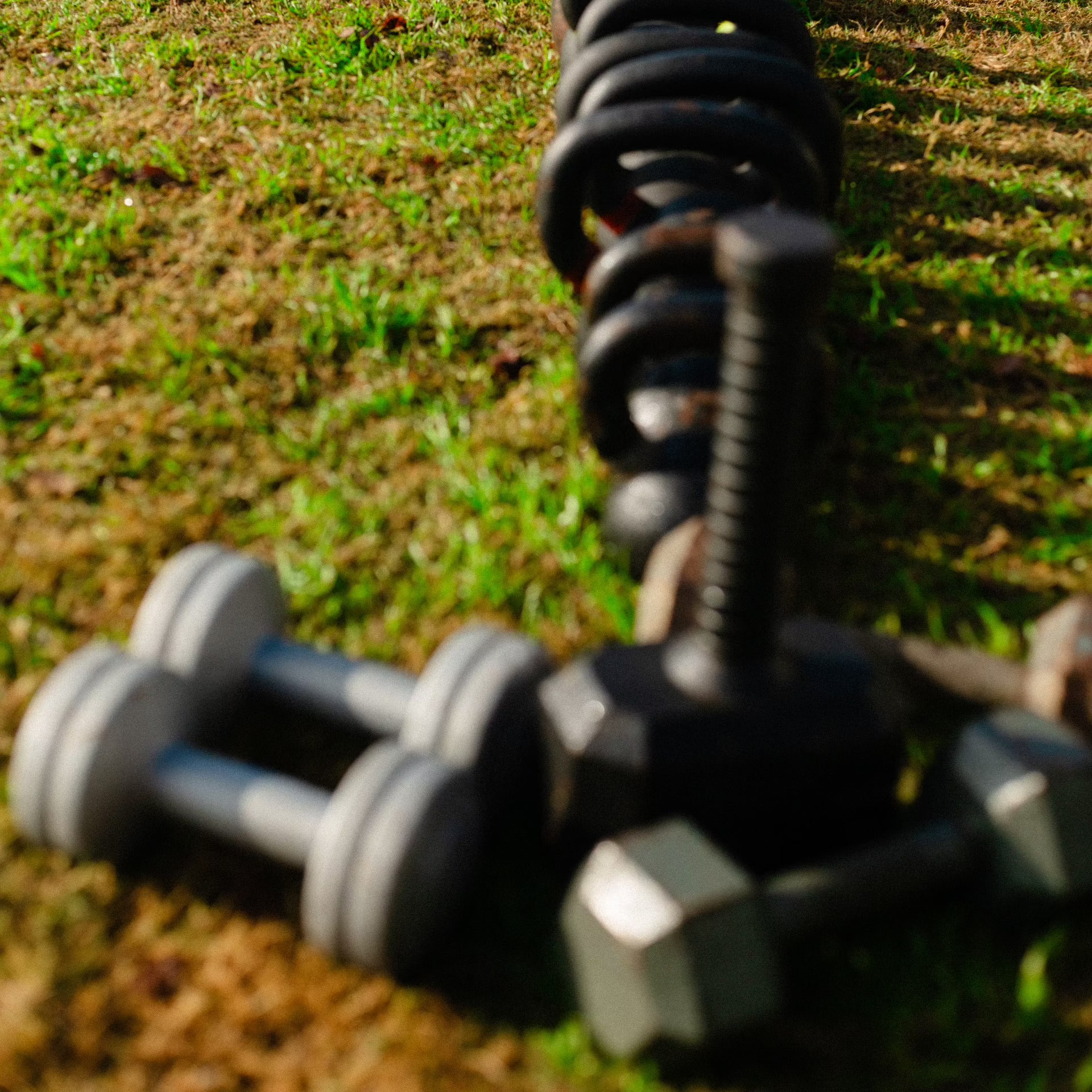 kettlebells in a row on green grass outdoors at Yudae's pop-up outdoor gym in Austin Texas
