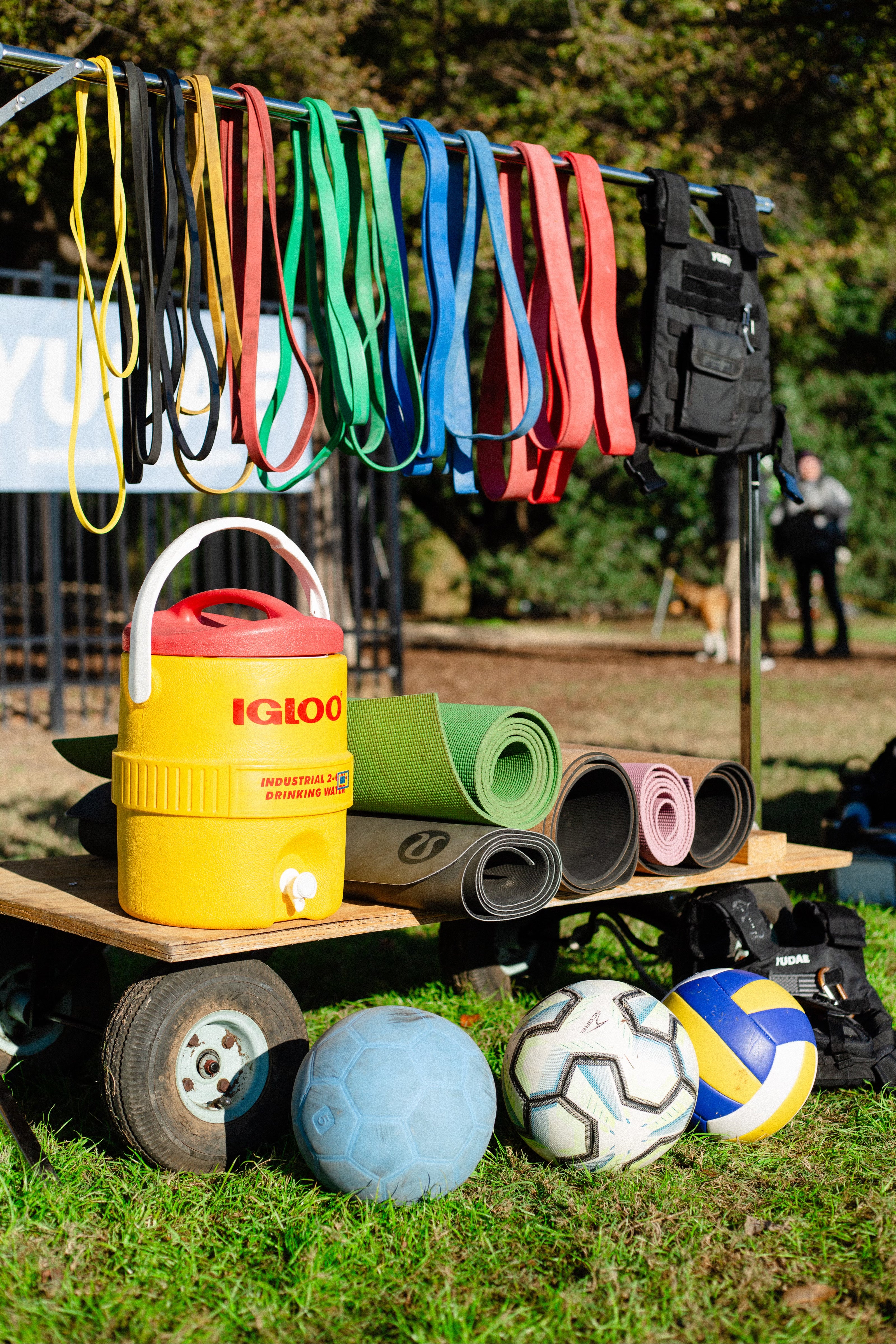 Assortment of multicolored power bands hanging on a metal bar next to a black weight best for bodyweight training. Yoga mats, sports balls, and a yellow Igloo water cooler are on display. 